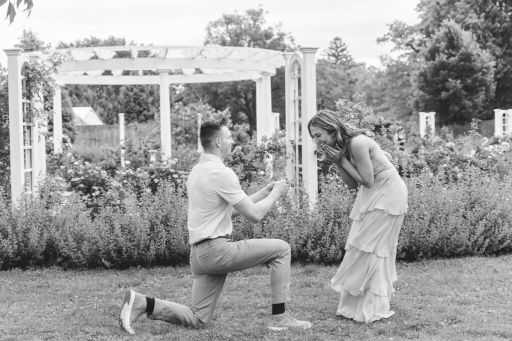 Black and white photo of a man on one knee proposing as his partner gasps with hands to her face in a Providence, RI rose garden