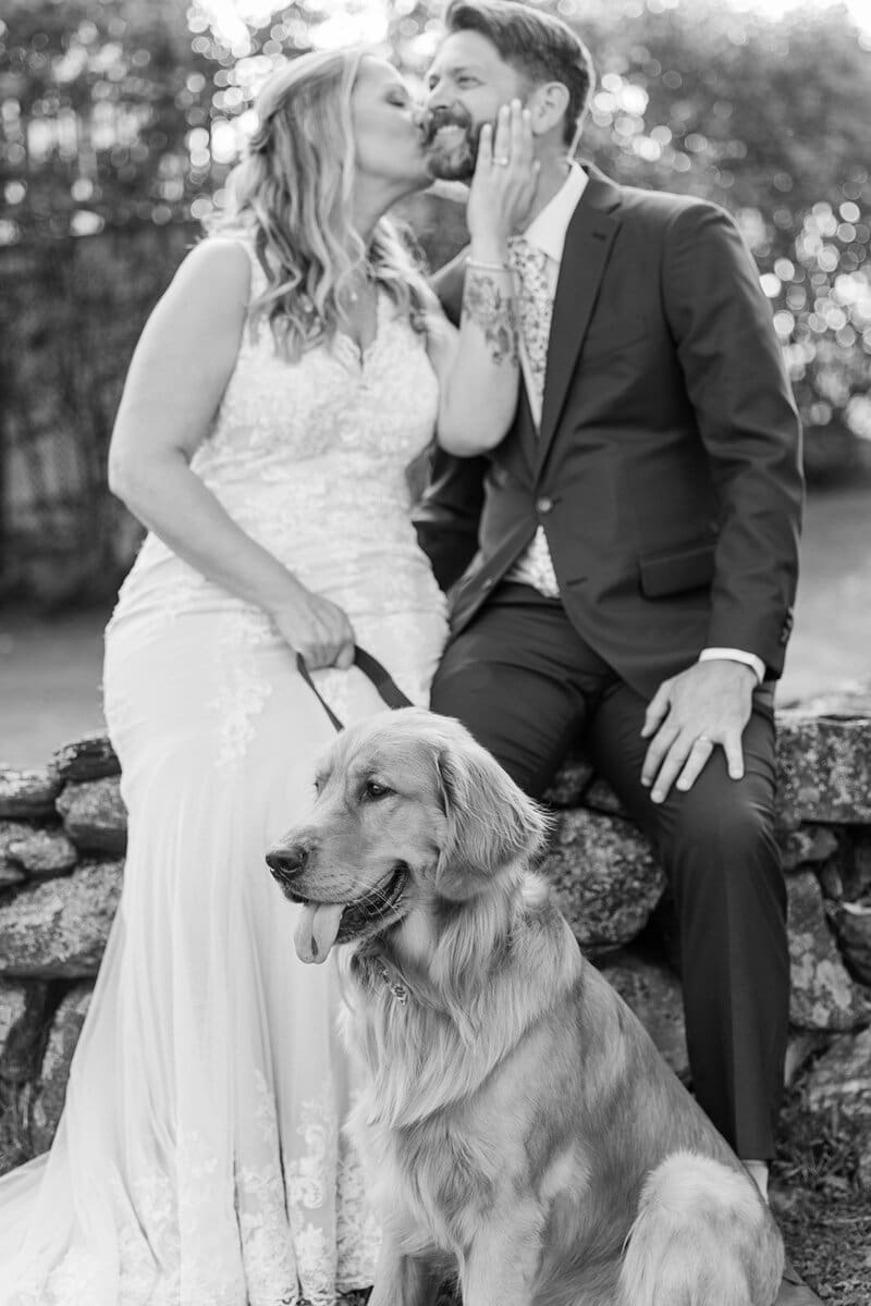 Black and white photo of a bride and groom kissing on a stone wall with their golden retriever sitting in front