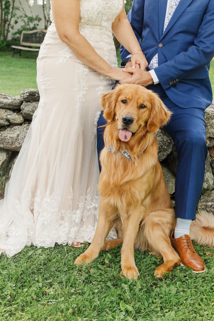 Golden retriever in a floral collar sitting between a bride and groom who hold hands on a stone wall
